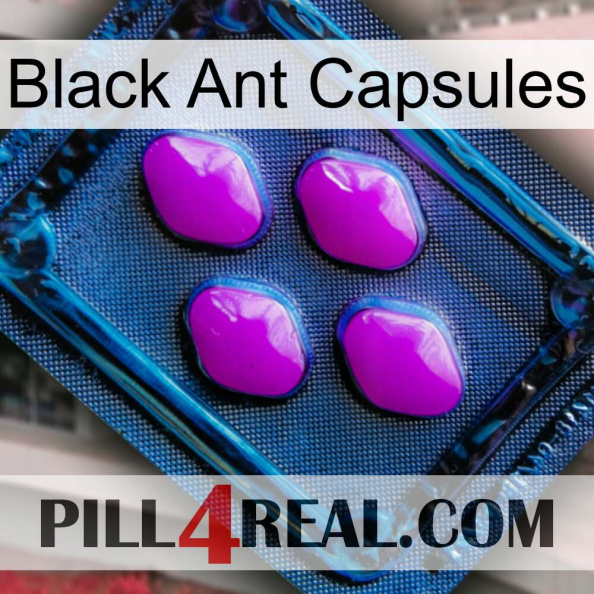 Black Ant Capsules 04.jpg